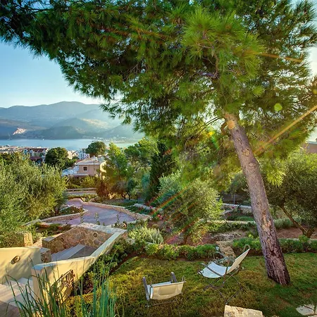 Daire Ionian Vista